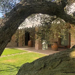 Franciscus Bed & Breakfast